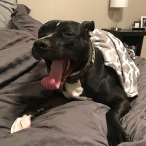 Meet your Posher, Stephen